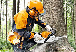 Motosierras de gasolina para trabajos forestales